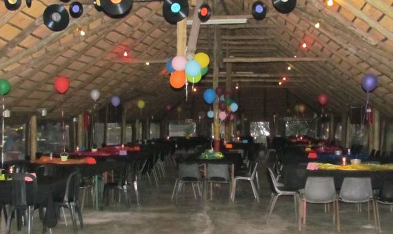Lapa 8
